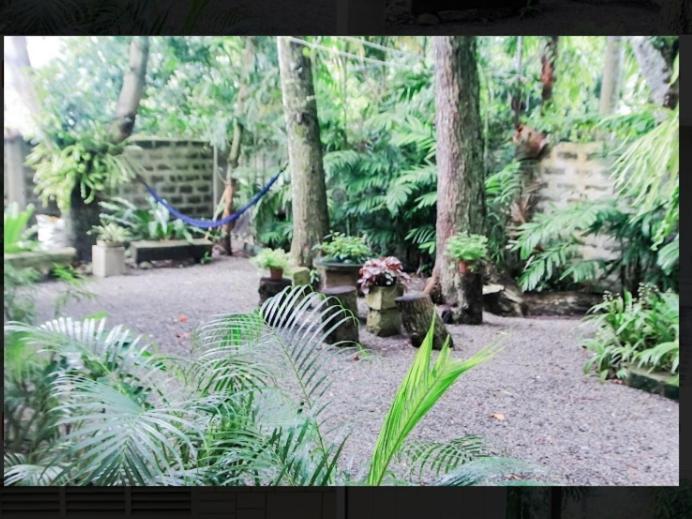 Balay 8 Suites シレイ エクステリア 写真